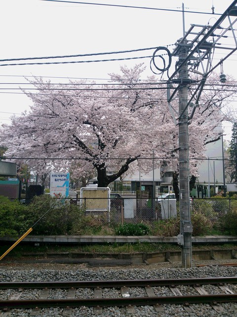 お気に入りの場所